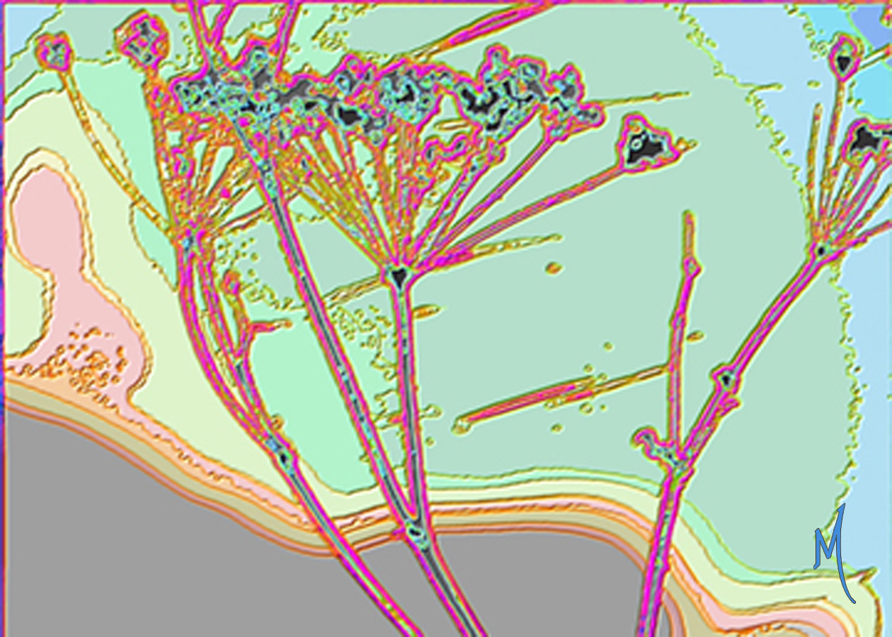 blue5