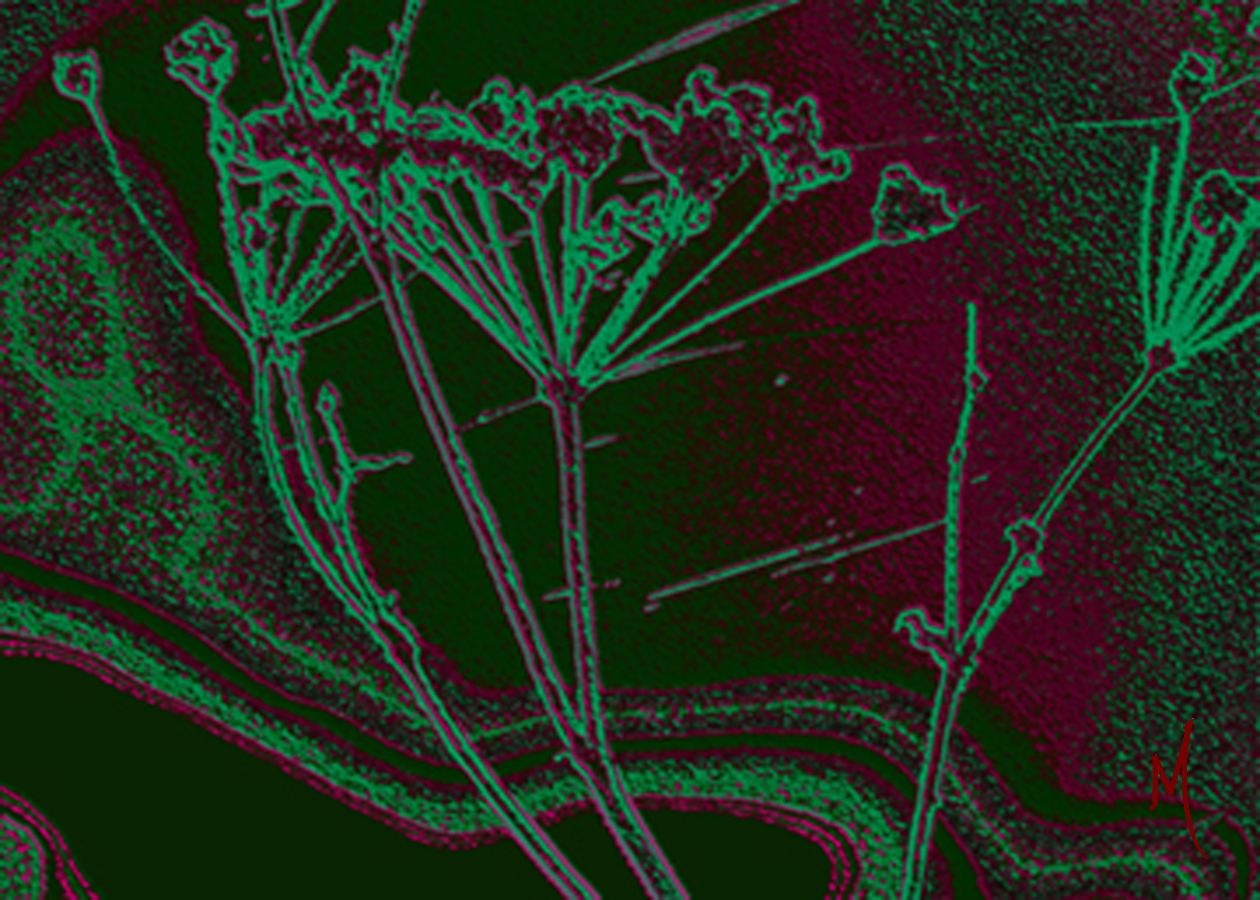 Green1
